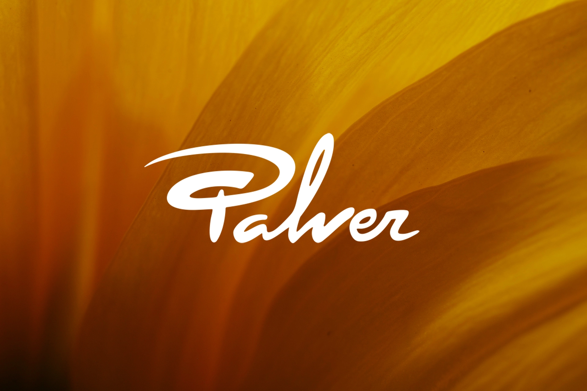 cabecera copia subido a Palver Barcelona